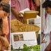 2024-2025 3e Latin Repas -1